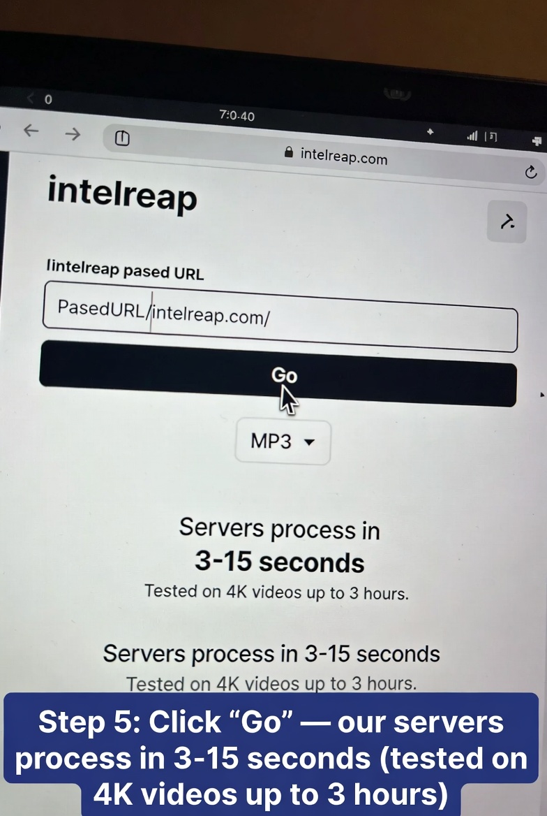 Step 5: Click Go - servers process in 3-15 seconds - IntelReap YouTube to MP3 downloader